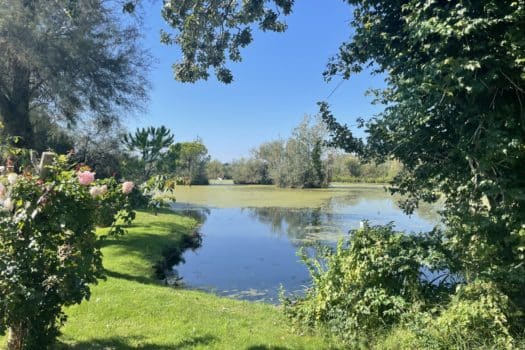 Propriété en Camargue
