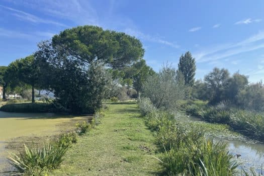 Propriété en Camargue