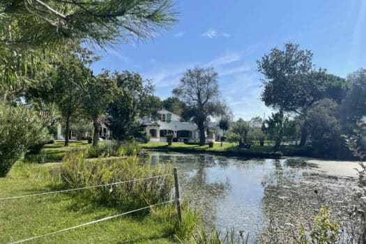 Propriété en Camargue