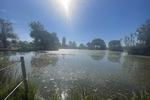 Propriété en Camargue