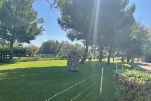 Propriété en Camargue