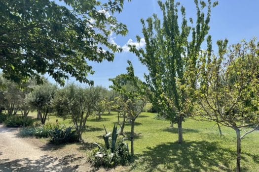 Propriété pont de crau