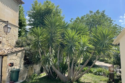 Propriété pont de crau