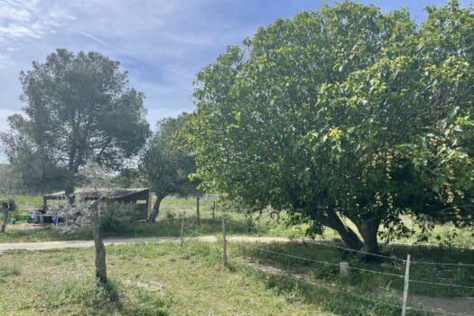 Propriété en Camargue