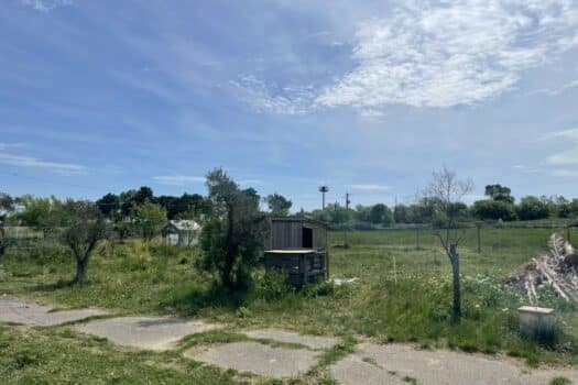 Propriété en Camargue