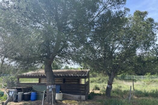 Propriété en Camargue