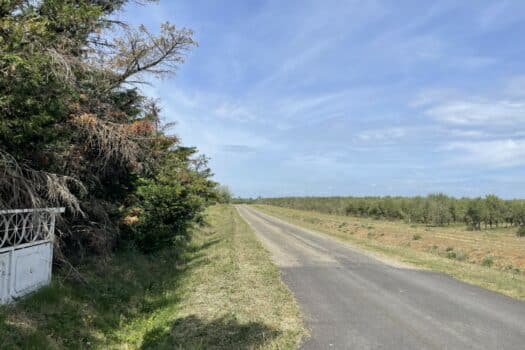 Propriété en Camargue