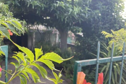 Maison Mouleyres Arles