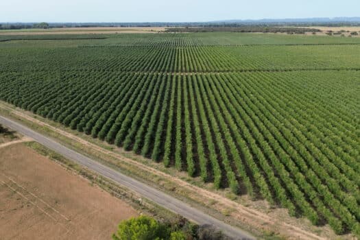 Propriété en Camargue
