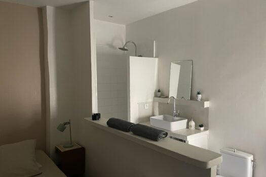 Maison de ville la roquette Arles