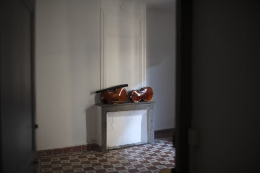 Maison bourgeoise la roquette Arles