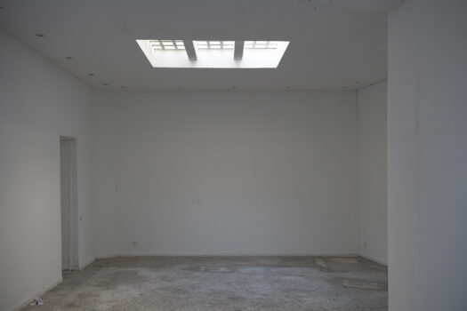 Maison bourgeoise la roquette Arles