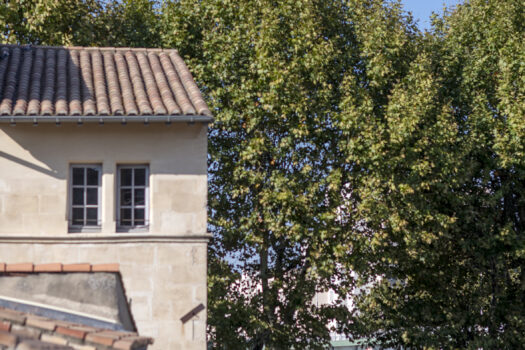 Maison bourgeoise la roquette Arles