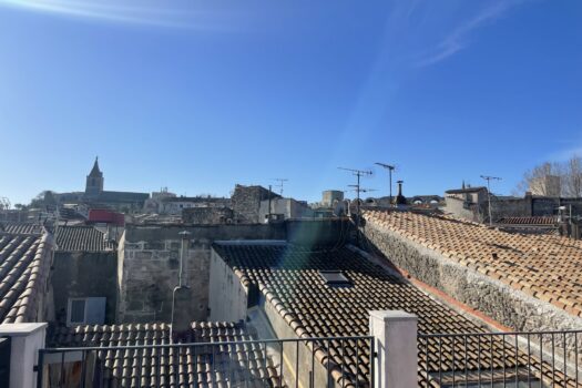 Maison avec terrasse Voltaire Arles