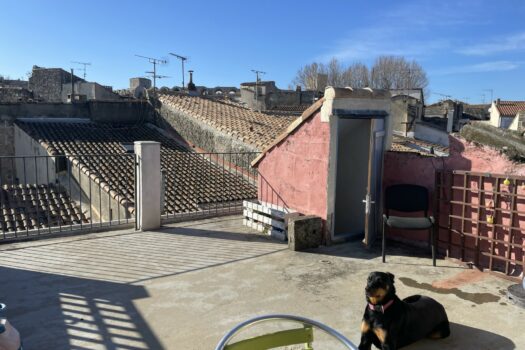 Maison avec terrasse Voltaire Arles