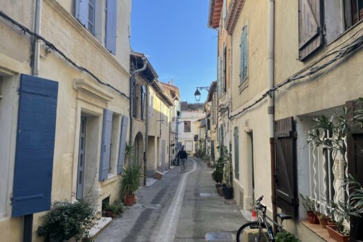 Maison avec terrasse Voltaire Arles