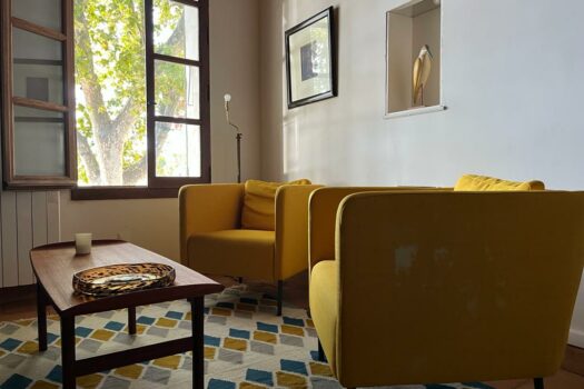 Maison avec vue sur le Rhône Arles