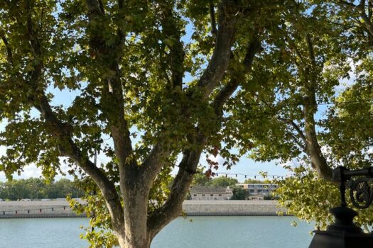 Maison avec vue sur le Rhône Arles