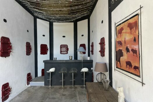 Mas en petite Camargue