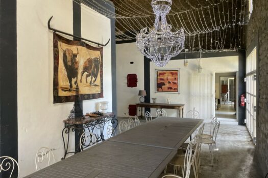 Mas en petite Camargue