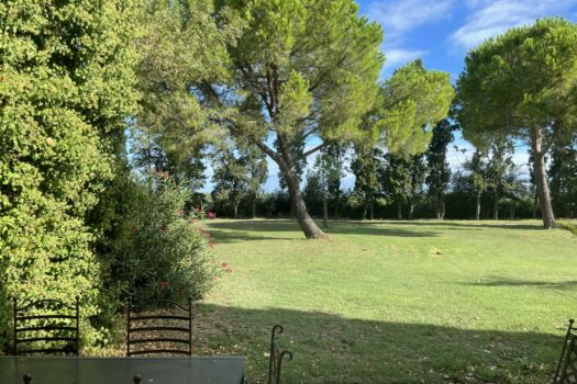 Mas en petite Camargue