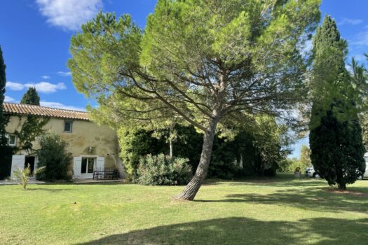 Mas en petite Camargue