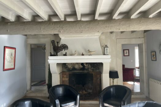 Mas en petite Camargue