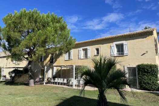 Mas en petite Camargue