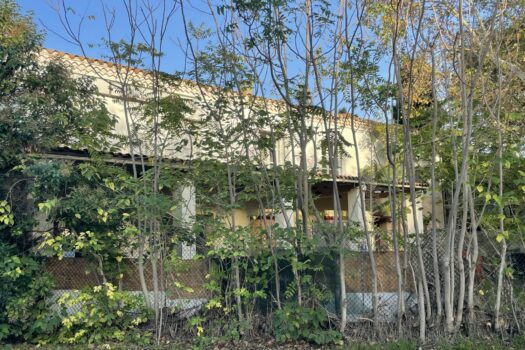 Ensemble immobilier Arles