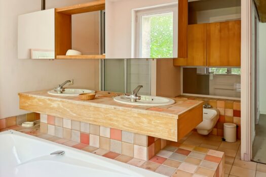 Mas étang des Aulnes