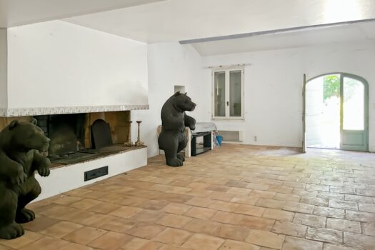 Mas étang des Aulnes