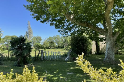 Mas étang des Aulnes