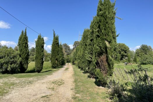 Mas étang des Aulnes