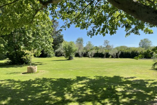 Mas étang des Aulnes