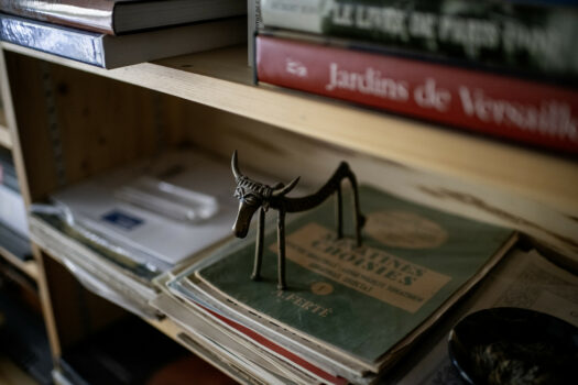 Hôtel particulier Arles