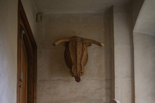 Hôtel particulier Arles