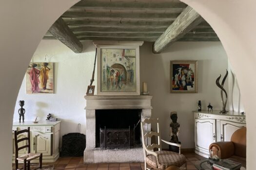 Mas avec piscine Raphèle-les-Arles