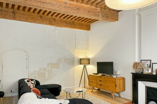 Appartement dans un hôtel particulier