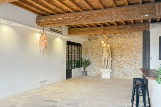 Maison vue sur le Rhône Arles