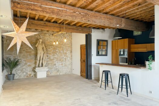 Maison vue sur le Rhône Arles