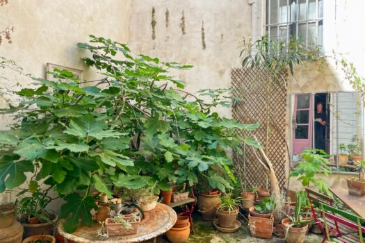 Maison avec patio Arles
