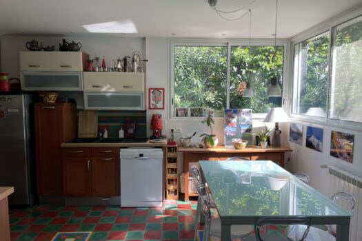 Mas trinquetaille Arles