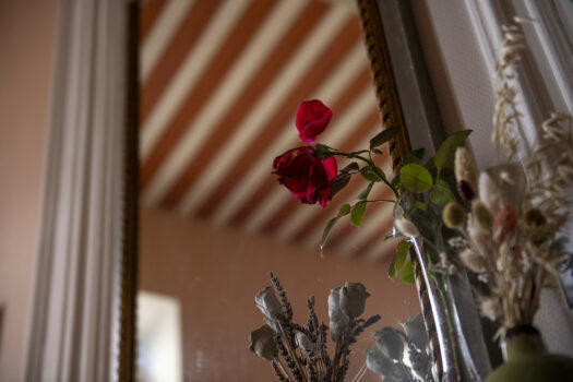 Duplex dans un hôtel particulier Arles