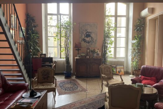 Duplex dans un hôtel particulier Arles