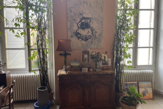 Duplex dans un hôtel particulier Arles