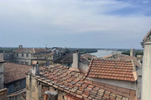 Duplex  avec terrasse Arles