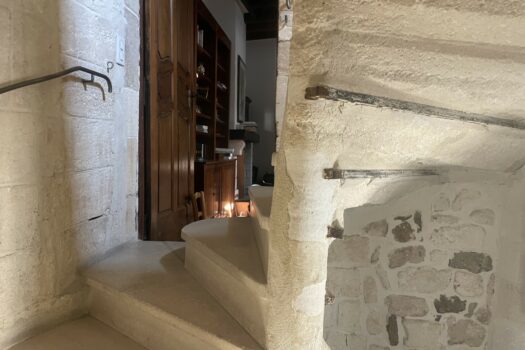 Maison de ville avec terrasse Arles