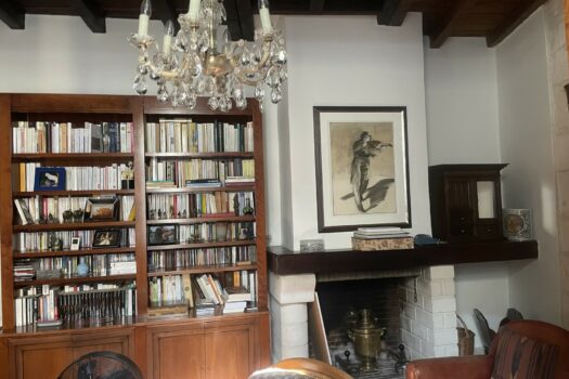 Maison de ville avec terrasse Arles