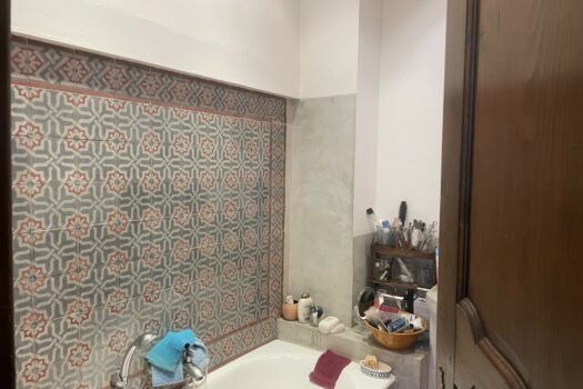 Maison de ville avec terrasse Arles