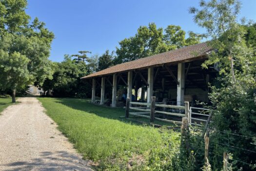 Bastide en Camargue